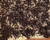 Foto del paso 3 de la receta: Mona de chocolate blanco y oreo Pokémon