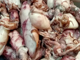 75#Gule Cumi Asin