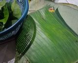 Foto langkah ke 4 dari resep Botok Tahu Ayam.