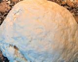 Foto del paso 2 de la receta: Clásicos Argentinos: Panes caseros saborizados