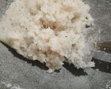 A picture of step 5 of Coconut burfi.