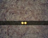 صورة لخطوة 4 من وصفة كنافة الفقرا 😅😅