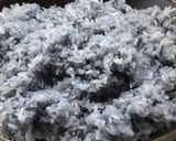 Hình bước làm 2 của món Xôi xoài hoa đậu biếc