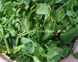 Foto langkah ke 1 dari resep 150. Tumis Selada Air.