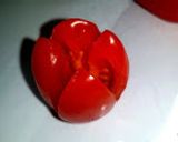 Une image de l'étape 1 de Tulipes de tomates cerises au kiri.