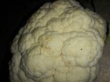 गोभी की गुजिया (gobi ki gujiya recipe in Hindi)