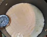 Vegetarian Venezuelan Cuajada Cheese recipe step 9 photo