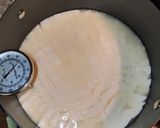 A picture of step 7 of Vegetarian Venezuelan Cuajada Cheese.