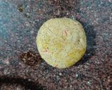 A picture of step 4 of Mixed flour poori.