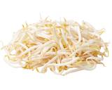 Bean Sprout & Cucumber Salad recipe step 5 photo