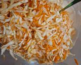 Coleslaw saláta (Amerikai káposzta saláta) recept fázis 6 fotója