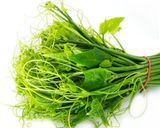 龍鬚菜炒櫻花蝦(簡單料理)的食譜步驟7照片
