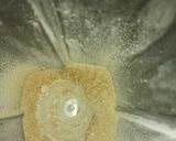 Foto del paso 2 de la receta: Macarrons