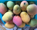 Foto del paso 1 de la receta: Pudín de mango