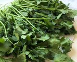 A picture of step 1 of Tuesday Tip | How to Dry Fresh Coriander Leaves in the Microwave Method.