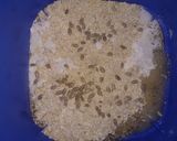 Foto del paso 2 de la receta: Grisines dulces veganos