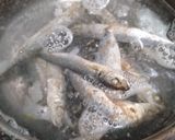 Foto langkah ke 1 dari resep Ikan cue cabe rawit.