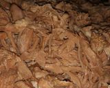 A picture of step 1 of Delicious Guadalajara-Style Barbacoa Tacos.