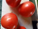 Pasta con salsa pomodoro