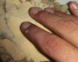 Foto del paso 3 de la receta: Albóndigas de pescado vestidas de zanahoria