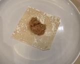 Foto langkah ke 2 dari resep Dumpling/Pangsit Ayam Enak Banget.