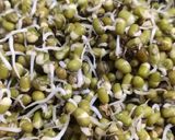 સ્પ્રાઉટ મિક્સ સલાડ (Sprout Mix Salad Recipe In Gujarati) રેસીપી સ્ટેપ1ફોટો