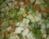 Foto del paso 7 de la receta: Sopa cultivateur G104