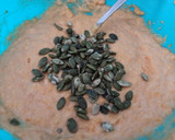 Foto del paso 5 de la receta: Muffins / Magdalenas de calabaza asada (BLW)