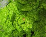 आंबला की चटनी (Amla ki chutney recipe in Hindi) रेसिपी चरण 2 फोटो