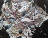 Foto langkah ke 2 dari resep Oseng Pindang Cabe Ijo.