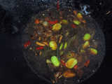 Tumis Kecap Tahu