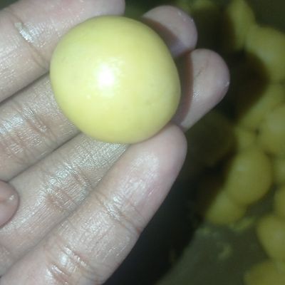 Langkah 5