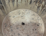 Foto del paso 4 de la receta: Helado de Galleta Oreo (Thermomix)