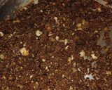 अलसी के लड्डू(alsi ke laddu recipe in hindi) रेसिपी चरण 2 फोटो