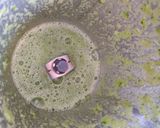A picture of step 2 of Cucumber coriander drink.