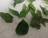 Foto del paso 3 de la receta: Espaguetis al Pesto de Albahaca