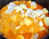 A picture of step 6 of Chicken Massaman Curry.
