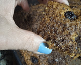 Foto del paso 4 de la receta: Cuadrados de avena y chocolate!