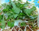 Hình bước làm 2 của món Gỏi gân bò rau muống