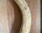 Foto del paso 3 de la receta: Plátano frito (patacones) 🍌