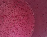 A picture of step 5 of Pink Dragon fruit Sago pudding dessert.