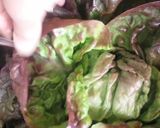 Vaddisznópörkölt nokedlival és döglesztett salátával 😊 recept fázis 4 fotója