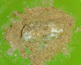 A picture of step 4 of Yam stick.