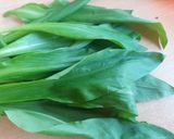 Medvehagymás sajtos rúd🌱 recept fázis 1 fotója