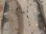 سمك مقلي