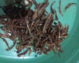 Foto langkah ke 1 dari resep Sambal teri.