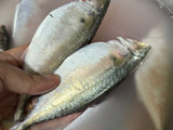 Asam pedas ikan pelaling (temenung)