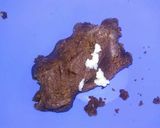 A picture of step 3 of Special cookies peda..