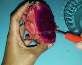 Foto langkah ke 13 dari resep Puding Busa Buah Naga.