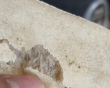 Foto del paso 7 de la receta: Ciabatta